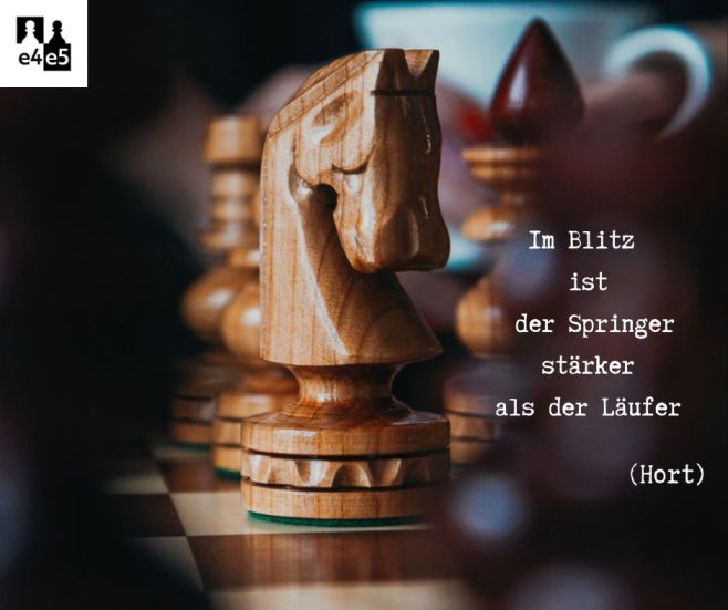 ♟ Und welche ist Ihre Lieblingsschachfigur? 🖤🤍 https://www.e4e5.at/schachfiguren/ #schachspiel #schach #schachladen_e4e5...