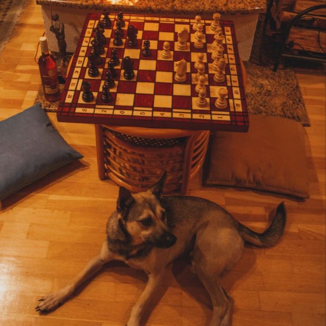 🍷♟ Wie lässt sich das Wochenende am besten beginnen? ... Wie wäre es mit Schach? Und dann sehen wir weiter🤍🖤☕...